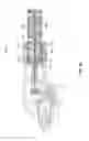 Fig. 25 - Surgical instrument
