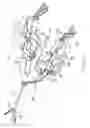 Fig. 02 - Patient-side mechanized surgical system