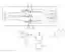 Fig. 01 - Anatomical image projection system