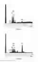 Fig. 08 - Cement systems, hardened cements and implants