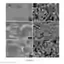 Fig. 10 - Cement systems, hardened cements and implants