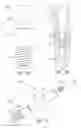 Fig. 09 - Renewable dental implant