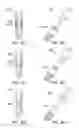 Fig. 12 - Renewable dental implant