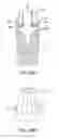 Fig. 31 - DENTAL PROSTHESES DEVICES AND METHODS