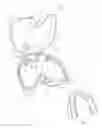 Fig. 01 - Dental appliance case