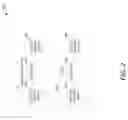 Fig. 03 - DETERMINING JAW AND FACIAL MOVEMENT