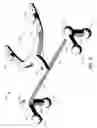 Fig. 04 - DETERMINING JAW AND FACIAL MOVEMENT