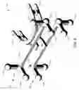 Fig. 07 - DETERMINING JAW AND FACIAL MOVEMENT