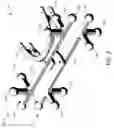 Fig. 09 - DETERMINING JAW AND FACIAL MOVEMENT