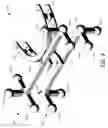 Fig. 10 - DETERMINING JAW AND FACIAL MOVEMENT