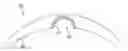 Fig. 01 - Apparatus and methods for nipple and breast formation