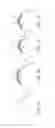 Fig. 02 - Apparatus and methods for nipple and breast formation