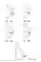 Fig. 15 - Apparatus and methods for nipple and breast formation