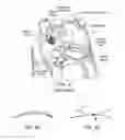 Fig. 04 - Devices, systems, and methods for reshaping a heart valve annulus