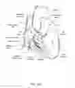 Fig. 08 - Devices, systems, and methods for reshaping a heart valve annulus