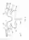 Fig. 03 - Prothesis for the replacement of a posterior element of a vertebra