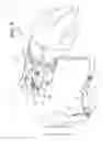Fig. 12 - Patient restraint system and methods for assisting a caregiver with patient restraint