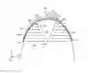 Fig. 01 - Negative pressure wound closure devices and methods