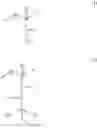 Fig. 02 - Product and method for temporary shaping of keratin-containing fibers