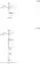 Fig. 03 - Agent and method for temporary shaping of keratin-containing fibers