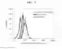 Fig. 08 - Liposome comprising elastin-like polypeptide and tumor cell targeting material and use thereof