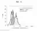 Fig. 09 - Liposome comprising elastin-like polypeptide and tumor cell targeting material and use thereof