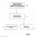Fig. 04 - DRIED FORMULATIONS OF NANOPARTICLE-COATED CAPSULES