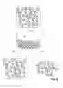 Fig. 05 - DRIED FORMULATIONS OF NANOPARTICLE-COATED CAPSULES