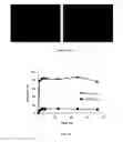 Fig. 08 - COMPOSITION OF LIPID-BASED NANOPARTICLES FOR SMALL MOLECULES AND MACROMOLECULES