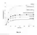 Fig. 11 - Composition for transarterial chemoembolization, comprising first and second biodegradable microbeads, and preparation method therefor