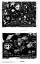 Fig. 31 - Method for the Production of Commercial Nanoparticle and Microparticle Powders