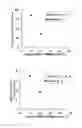 Fig. 03 - Sustained-release composition and method for producing the same