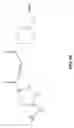 Fig. 16 - System and method for delivering protease inhibitors
