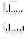 Fig. 19 - Heterocyclic flavone derivatives, compositions, and methods related thereto