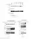 Fig. 28 - Heterocyclic flavone derivatives, compositions, and methods related thereto