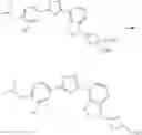 Fig. 146 - SELECTIVE SPHINGOSINE 1 PHOSPHATE RECEPTOR MODULATORS AND COMBINATION THERAPY THEREWITH