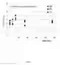 Fig. 04 - COMPLEXES OF SIROLIMUS AND ITS DERIVATIVES, PROCESS FOR THE PREPARATION THEREOF AND PHARMACEUTICAL COMPOSITIONS CONTAINING THEM