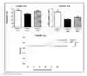 Fig. 17 - Compositions for treating CMT and related disorders