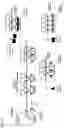 Fig. 13 - COMBINED MODULATION OF IRE1
