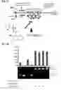 Fig. 18 - COMBINED MODULATION OF IRE1