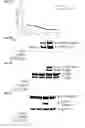 Fig. 19 - COMBINED MODULATION OF IRE1