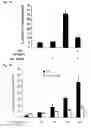 Fig. 20 - COMBINED MODULATION OF IRE1