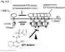 Fig. 43 - COMBINED MODULATION OF IRE1