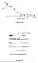 Fig. 10 - Crystalline form of (S)-N-(5-((R)-2-(2,5-difluorophenyl)-pyrrolidin-1-yl)-pyrazolo[1,5-A]pyrimidin-3-yl)-3-hydroxypyrrolidine-1-carboxamide hydrogen sulfate