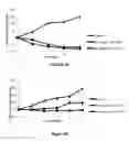 Fig. 30 - Crystalline form of (S)-N-(5-((R)-2-(2,5-difluorophenyl)-pyrrolidin-1-yl)-pyrazolo[1,5-A]pyrimidin-3-yl)-3-hydroxypyrrolidine-1-carboxamide hydrogen sulfate
