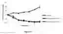 Fig. 31 - Crystalline form of (S)-N-(5-((R)-2-(2,5-difluorophenyl)-pyrrolidin-1-yl)-pyrazolo[1,5-A]pyrimidin-3-yl)-3-hydroxypyrrolidine-1-carboxamide hydrogen sulfate