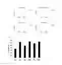Fig. 05 - Pharmaceutical composition comprising indole compound