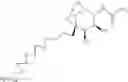 Fig. 09 - Substituted-6,8-dioxabicyclo[3.2.1]octane-2,3-diol compounds as targeting agents of ASGPR