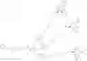 Fig. 98 - Substituted-6,8-dioxabicyclo[3.2.1]octane-2,3-diol compounds as targeting agents of ASGPR