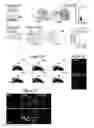 Fig. 04 - METHODS OF PREVENTING TUMOR METASTASIS, TREATING AND PROGNOSING CANCER AND IDENTIFYING AGENTS WHICH ARE PUTATIVE METASTASIS INHIBITORS